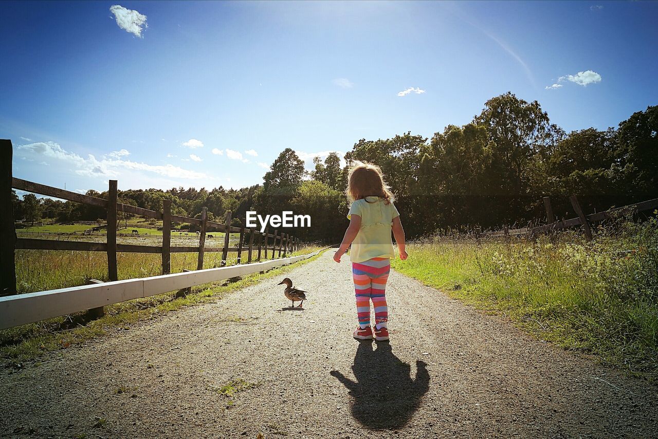 Rear view of cute girl standing by duck on road against sky