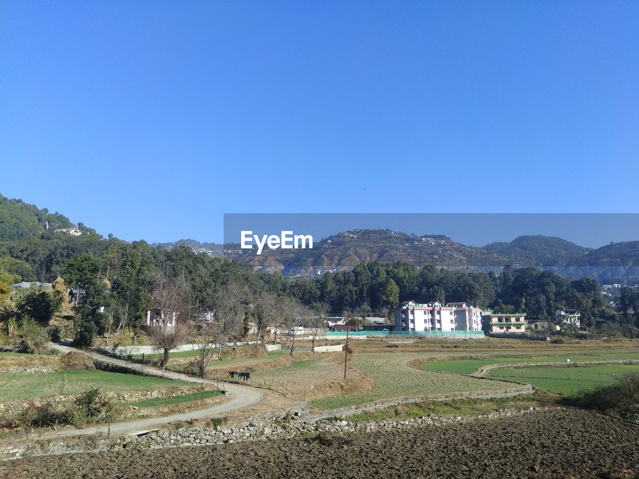 SCENIC VIEW OF FARM AGAINST CLEAR BLUE SKY