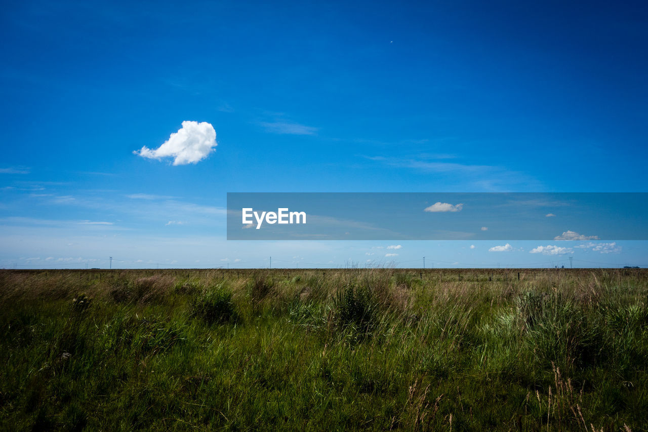 SCENIC VIEW OF LAND AGAINST BLUE SKY