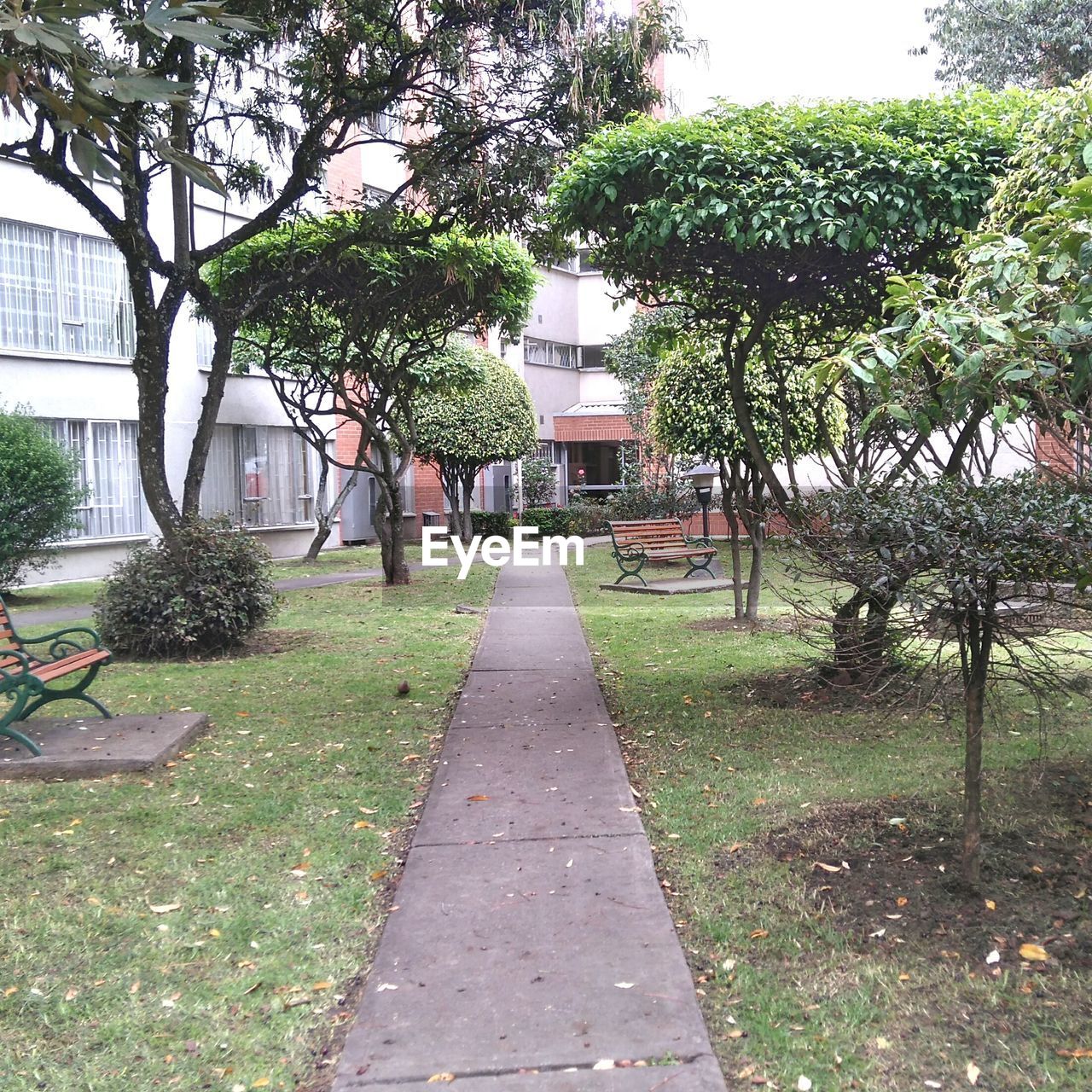 WALKWAY LEADING TO BUILDING