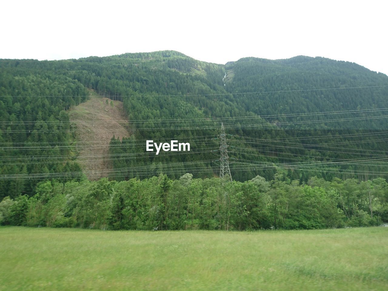 SCENIC VIEW OF GRASSY LANDSCAPE