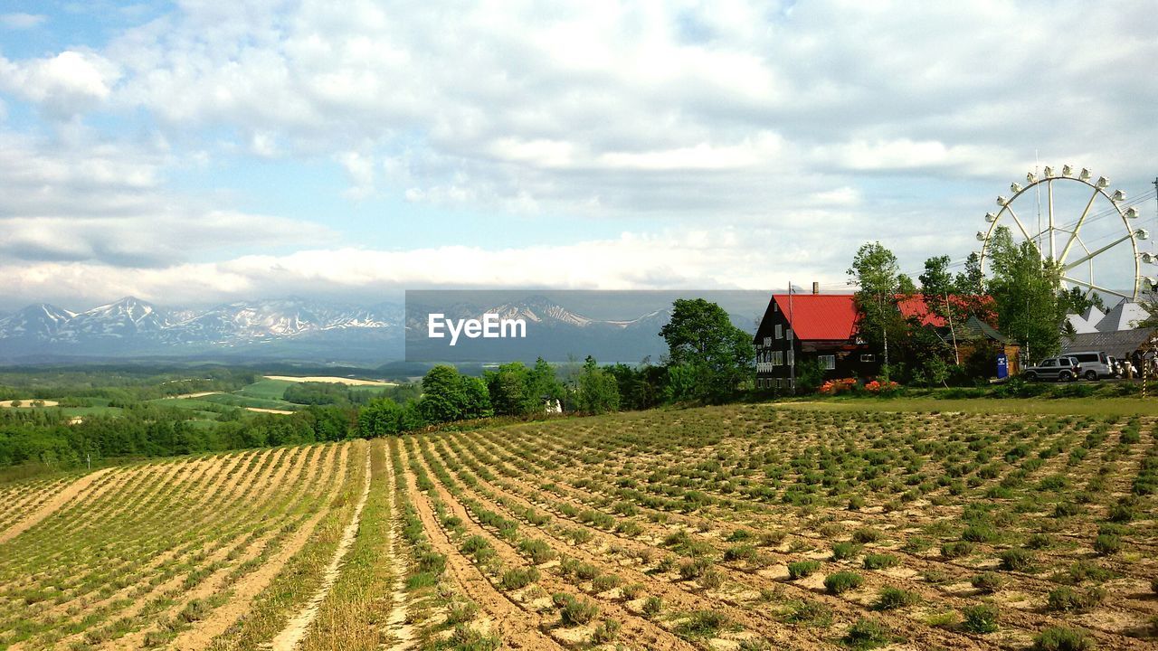 Tranquil rural scene with ferris wheel at the horizon