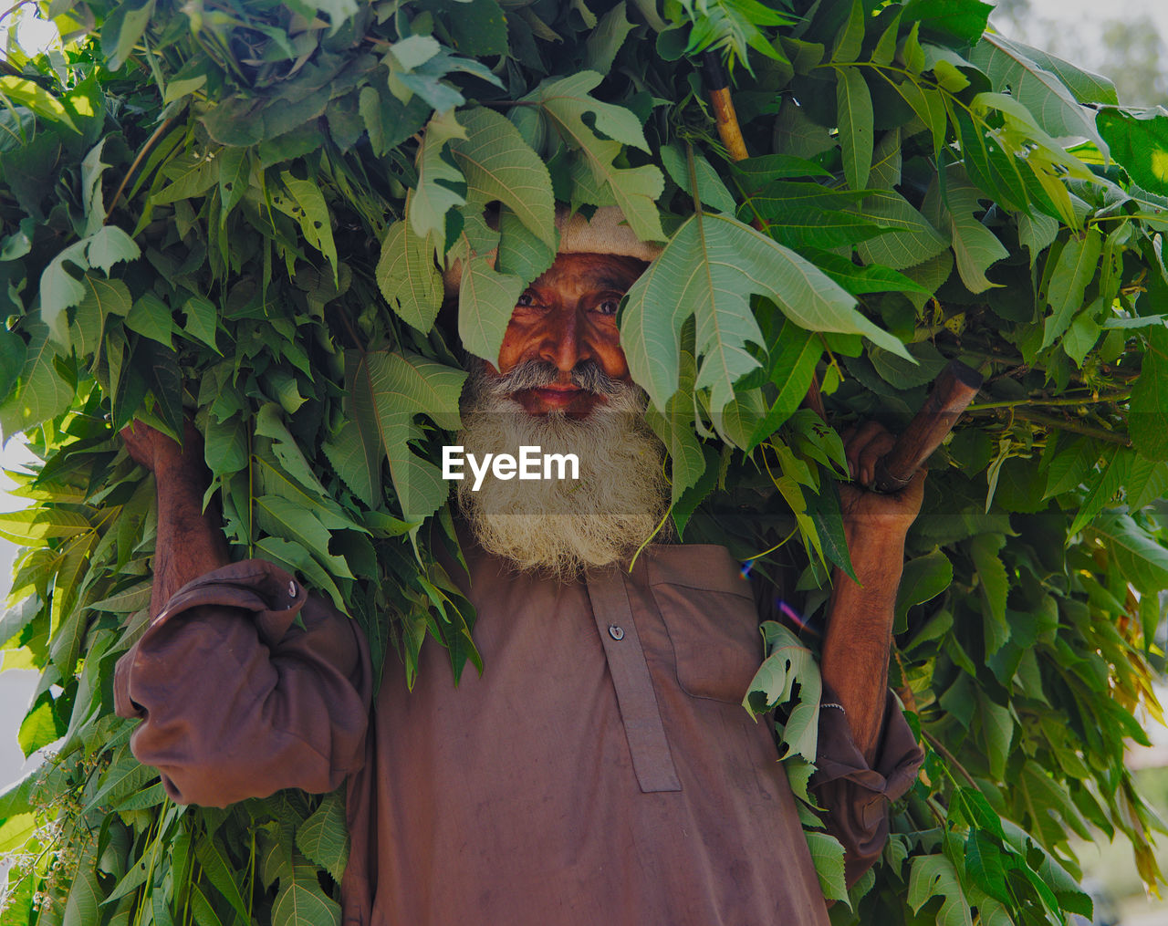 PERSON HOLDING PLANT