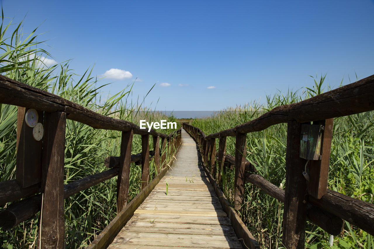 Wooden footbridge over the reeds lake