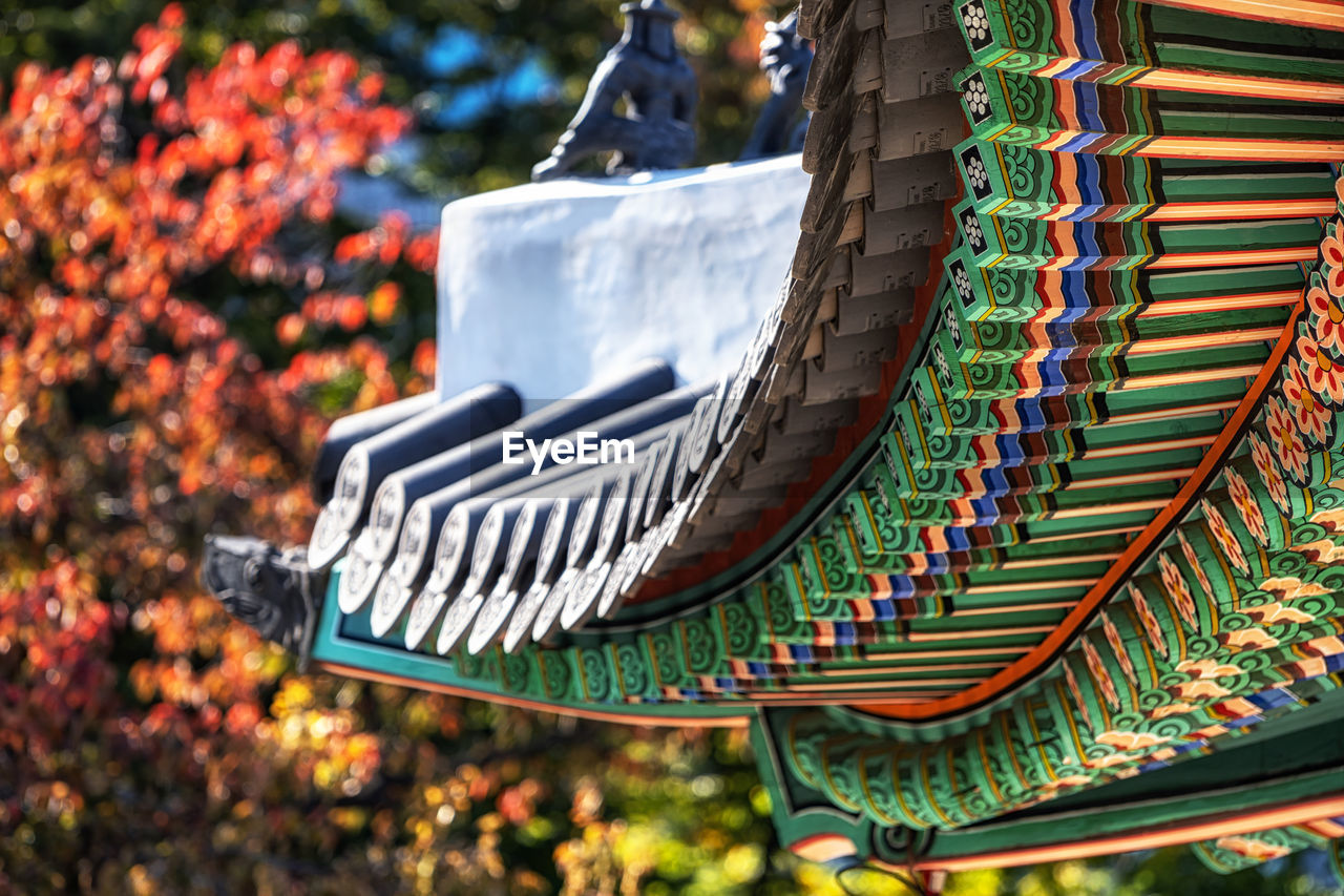 Korean traditional color blendin with autumn foliage colors  deoksugung palace in seoul, south korea