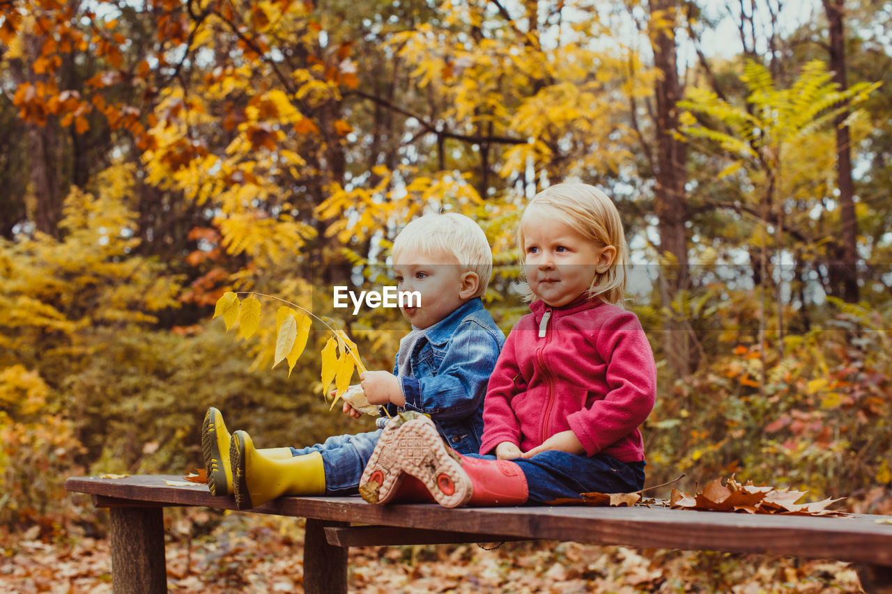 Boy sitting on autumn leaves