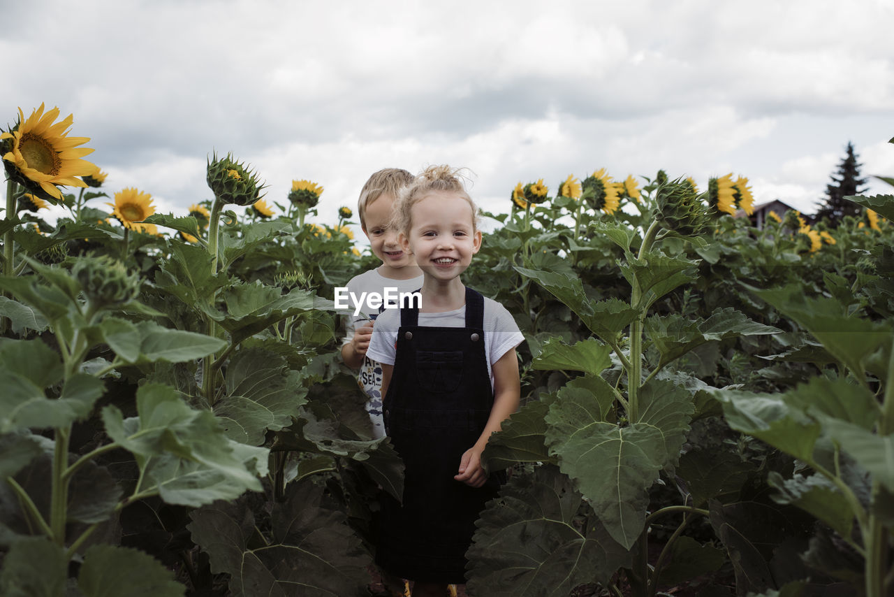 Portrait of sister with brother walking amidst sunflowers against cloudy sky at farm