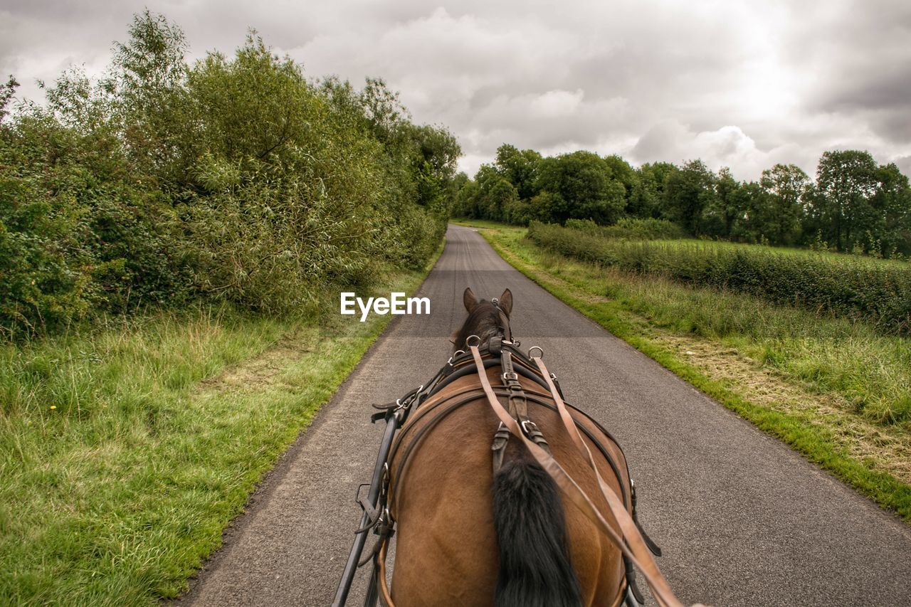 Horse cart on road amidst field against cloudy sky