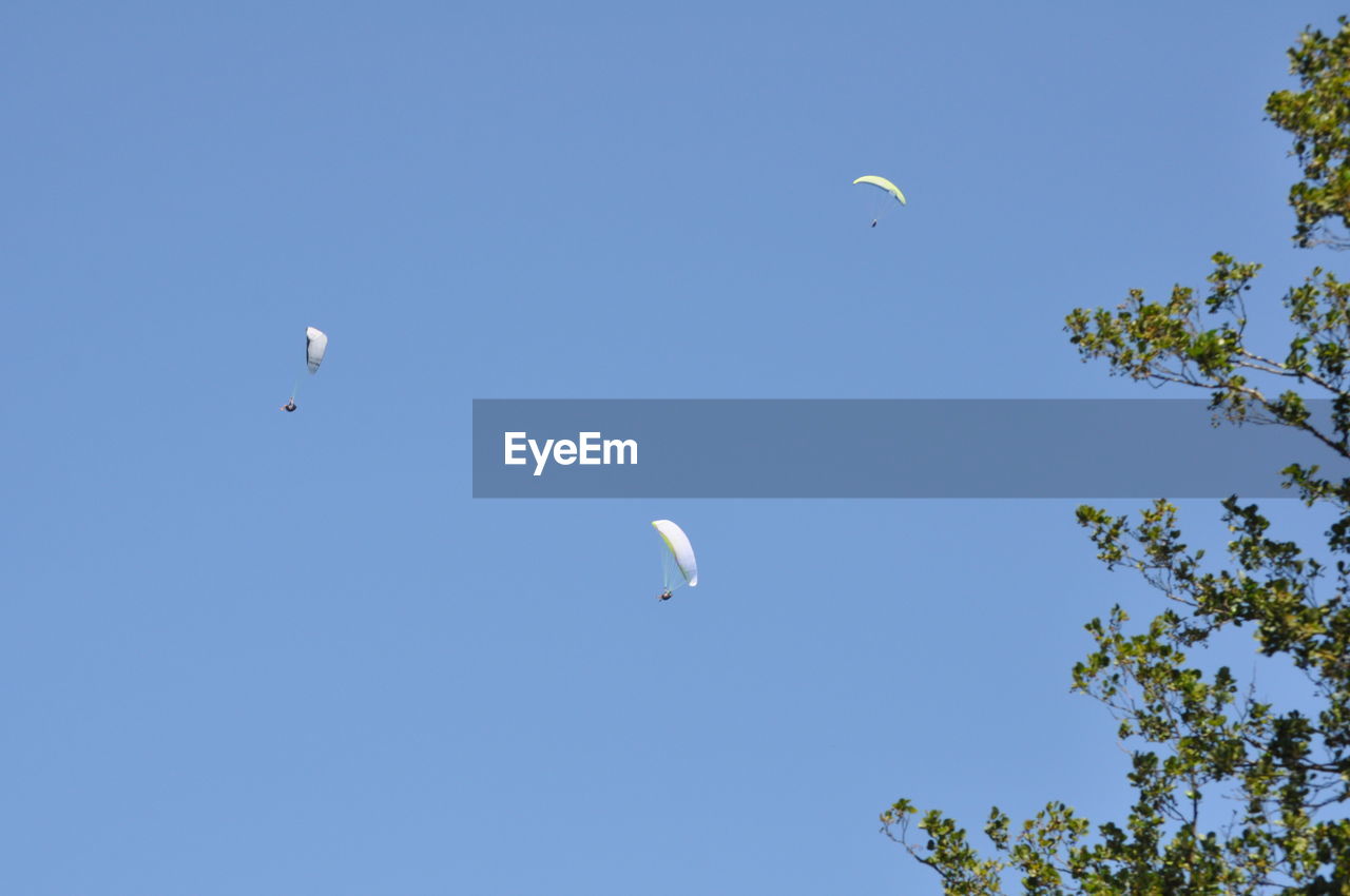LOW ANGLE VIEW OF KITE IN SKY