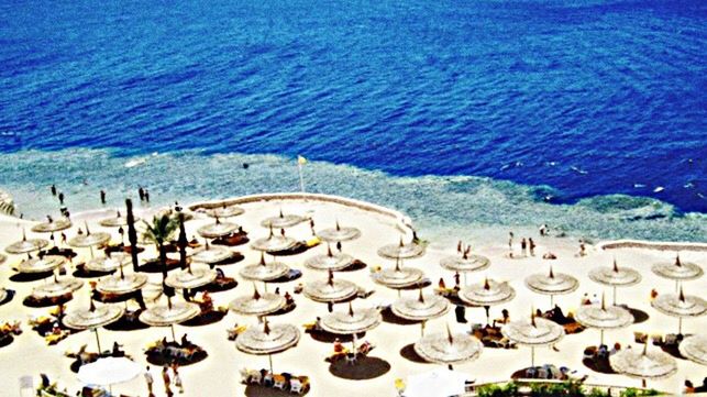 HIGH ANGLE VIEW OF SEA WITH TREES IN BACKGROUND