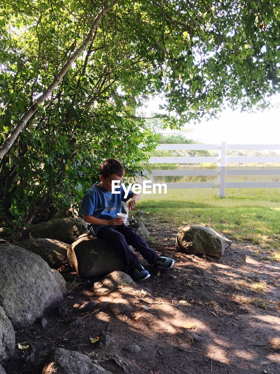 Boy having food while sitting on rock below tree