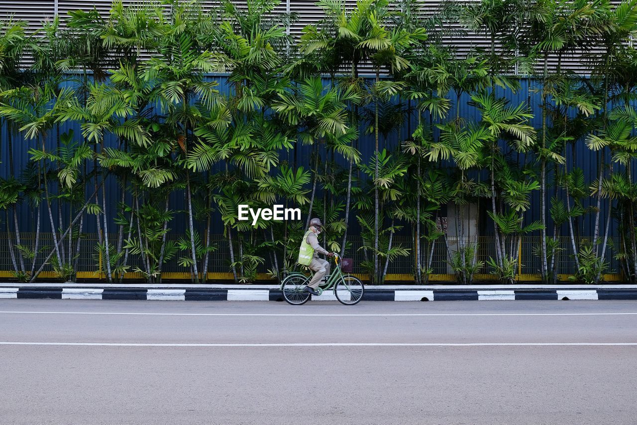 Man riding bicycle on road against trees