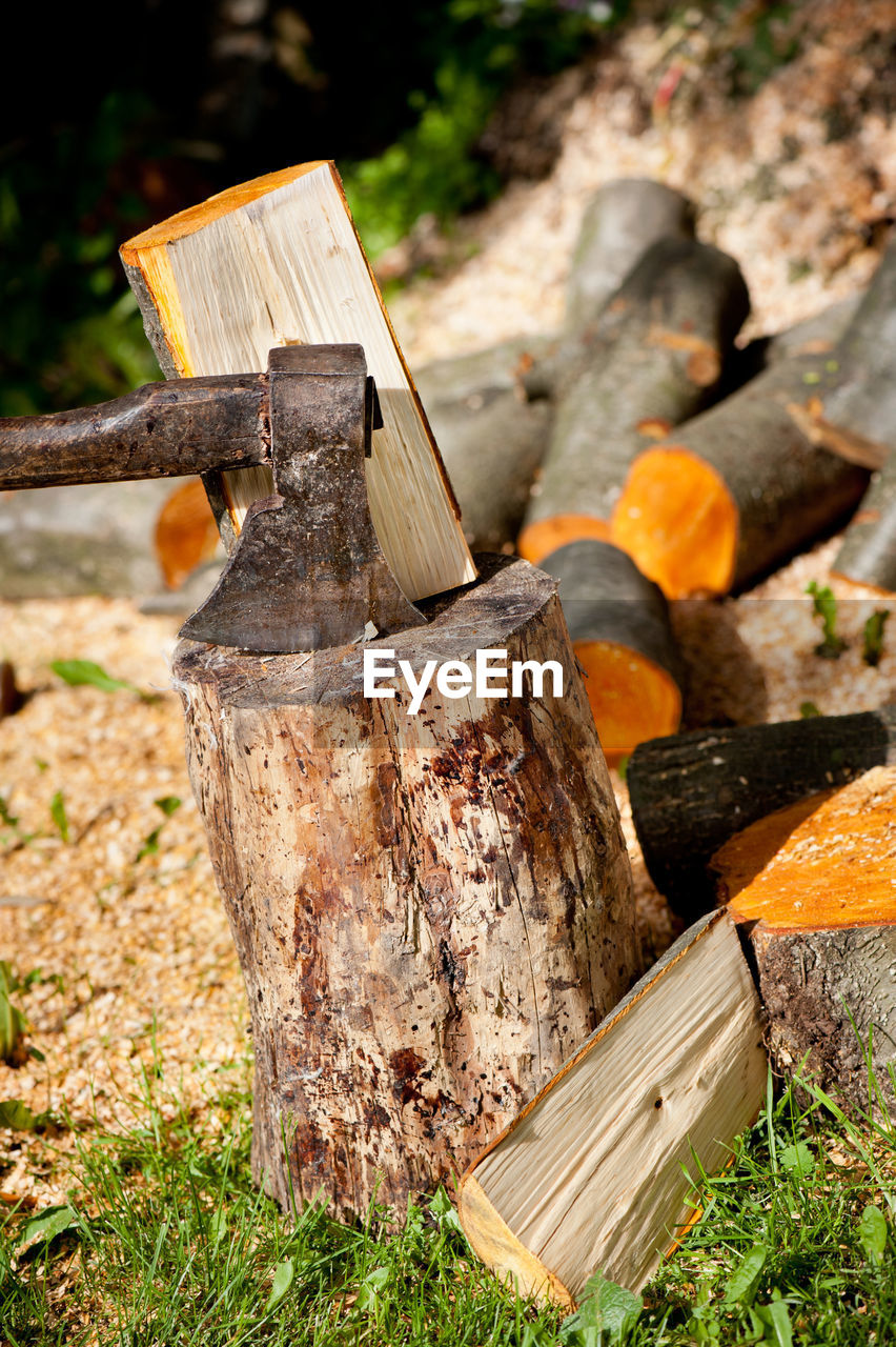 CLOSE-UP OF LOGS