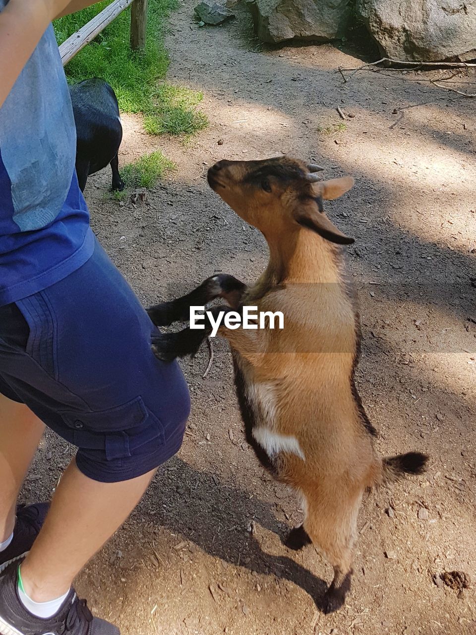 MAN WITH DOG SITTING ON FIELD