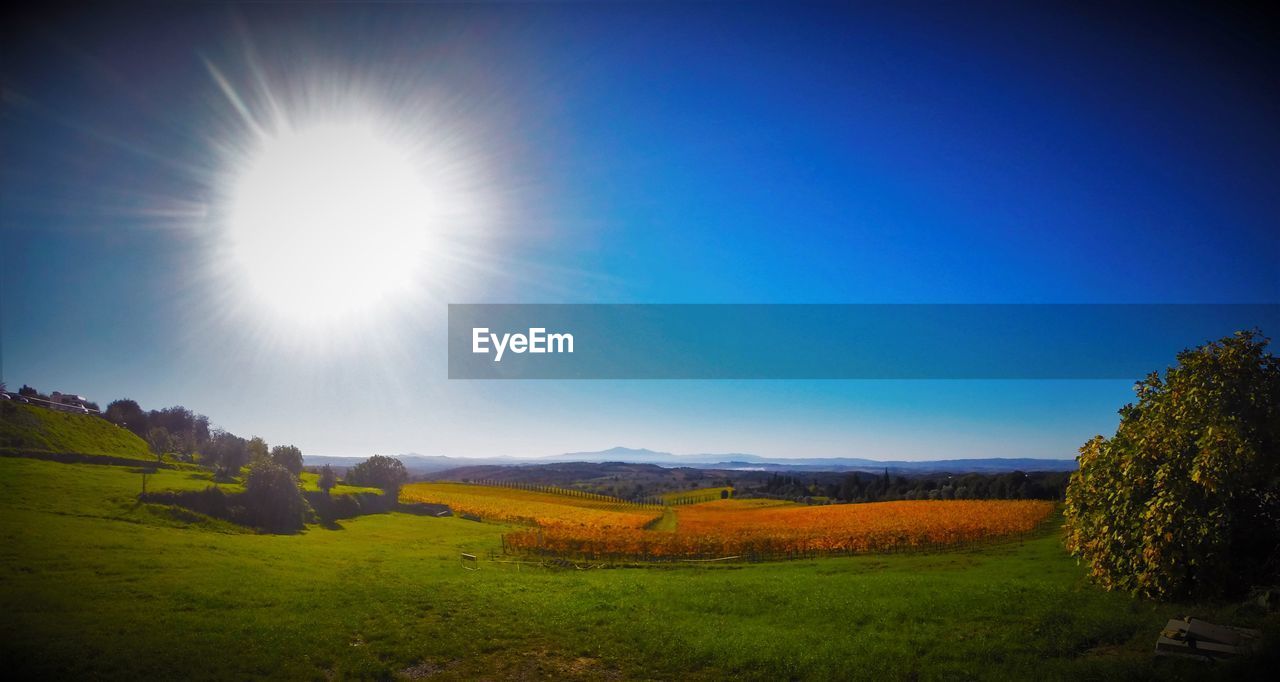 SCENIC VIEW OF LANDSCAPE AGAINST CLEAR SKY