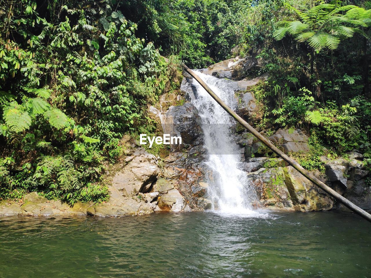 SCENIC VIEW OF WATERFALL AMIDST TREES