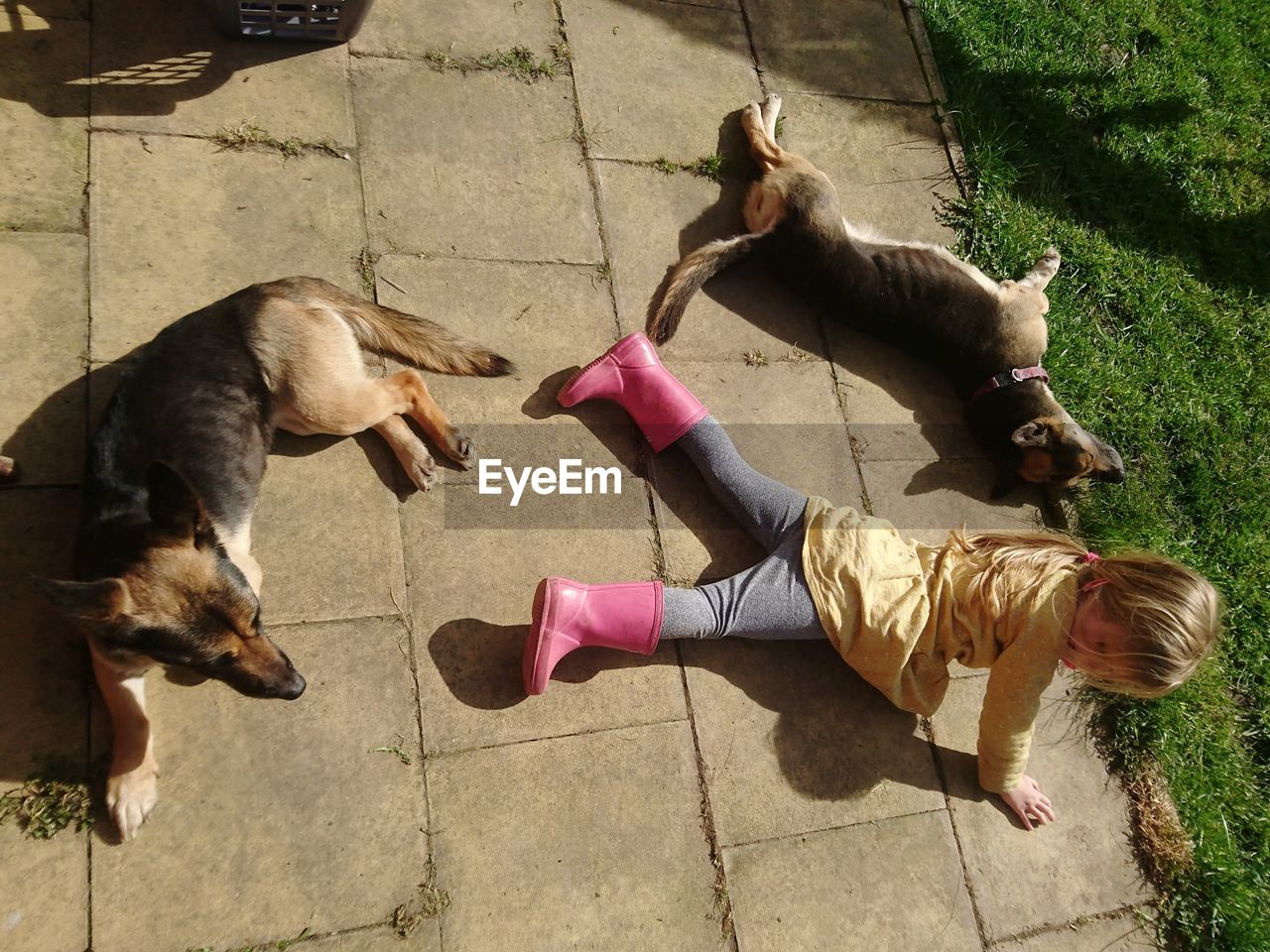 High angle view of girl lying with dogs on footpath in yard