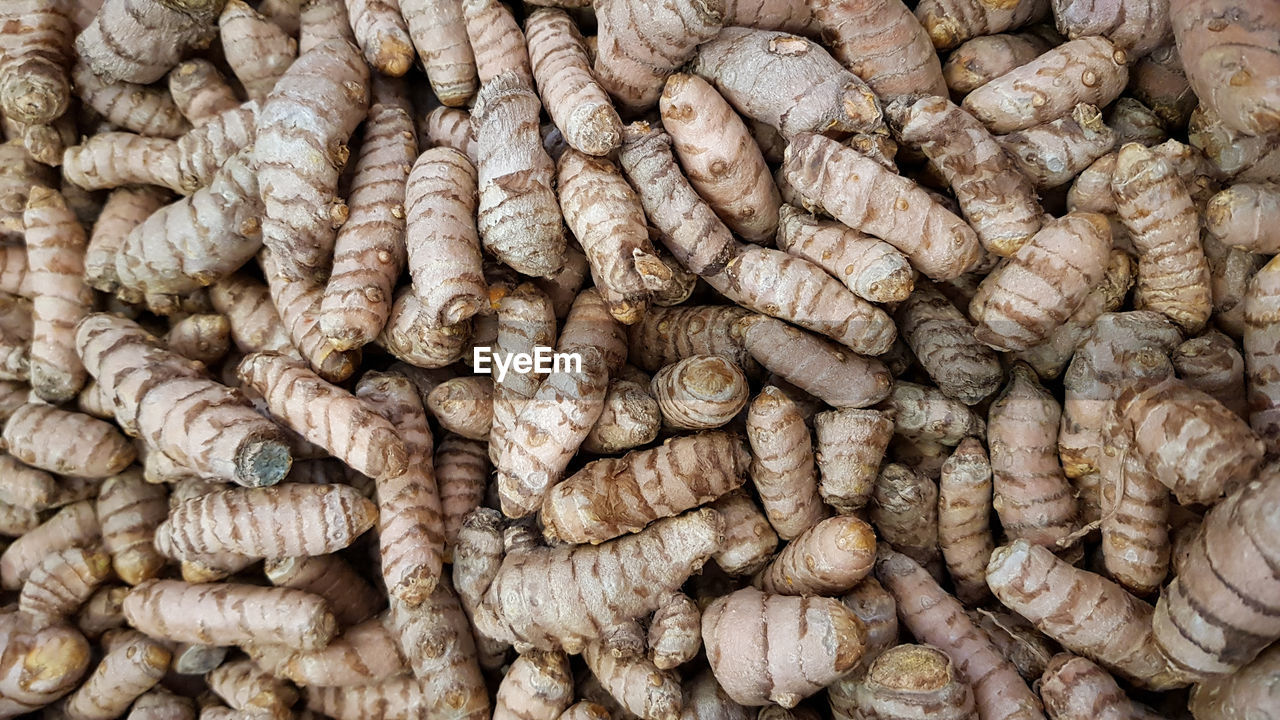 Fresh raw turmeric curcuma longa on sale on local market, used in cooking and making curries