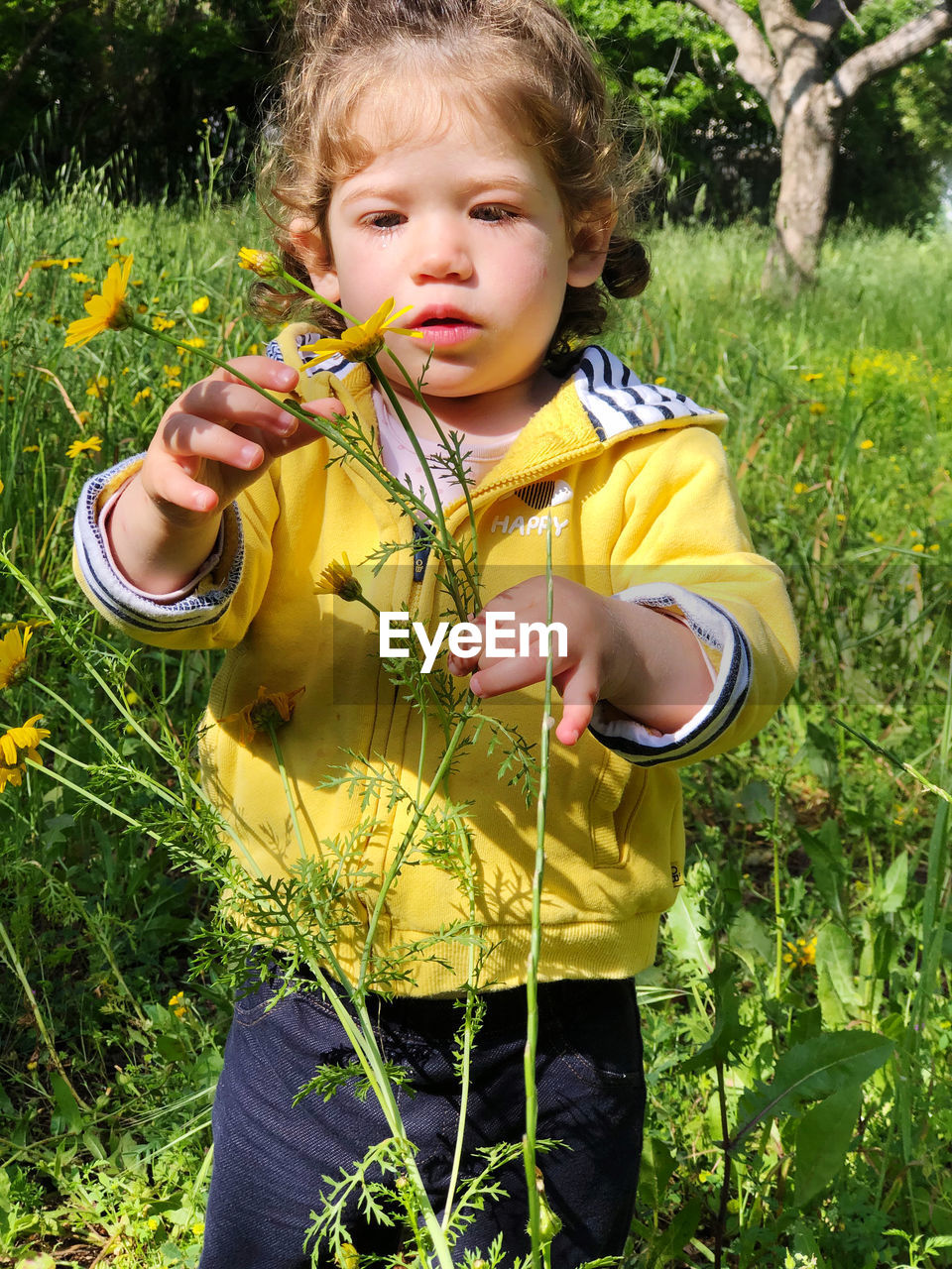 CUTE BOY HOLDING YELLOW FLOWER ON FIELD