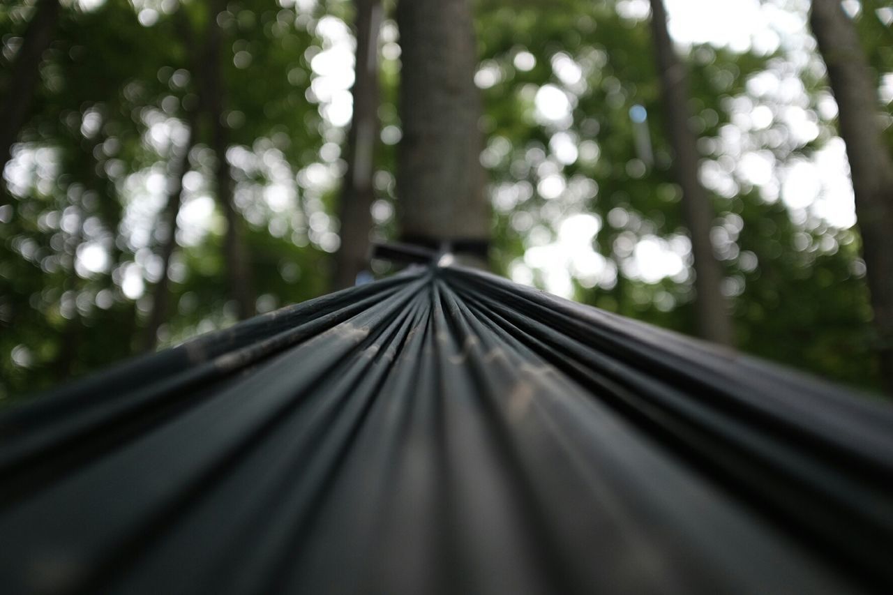High section of tent in forest