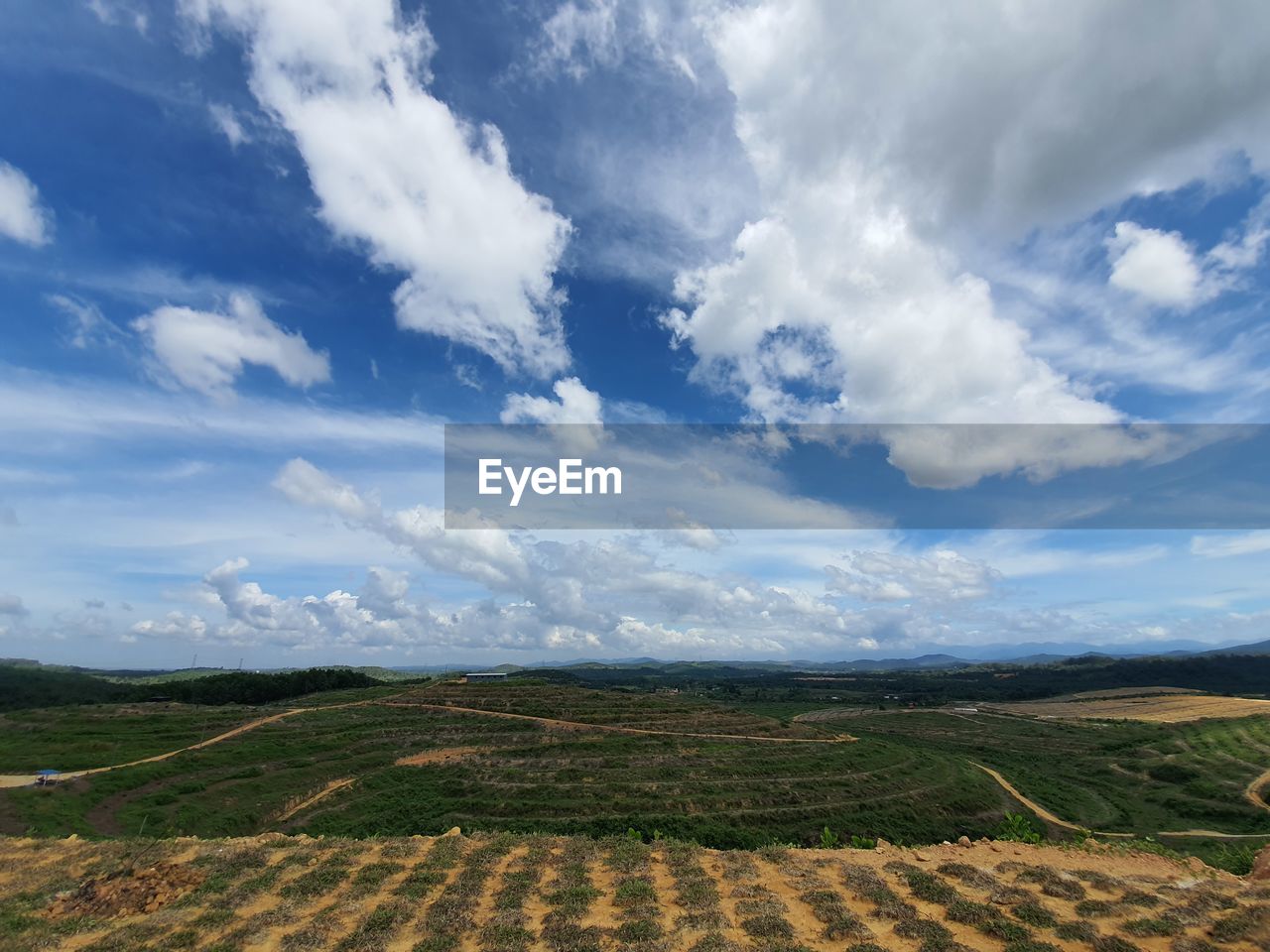 Scenic view of agricultural field against sky