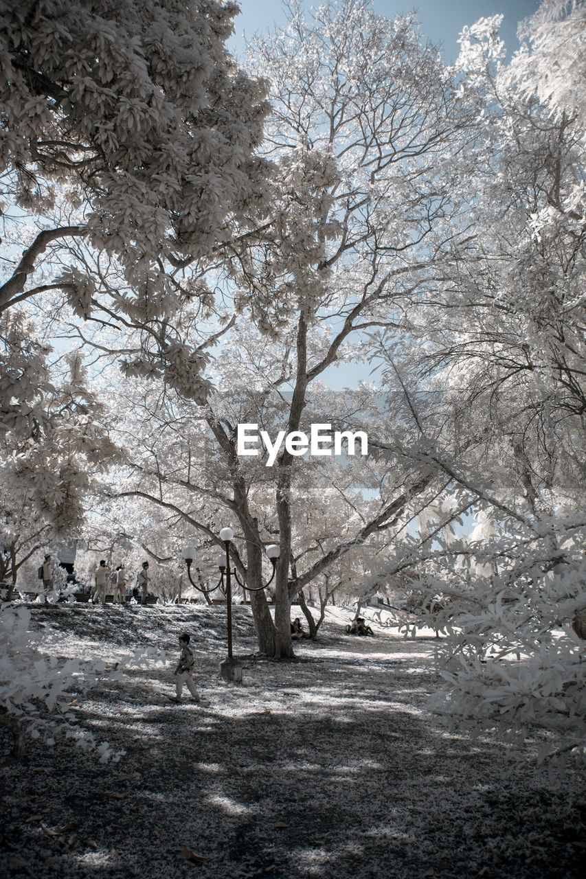 SCENIC VIEW OF SNOW COVERED LAND