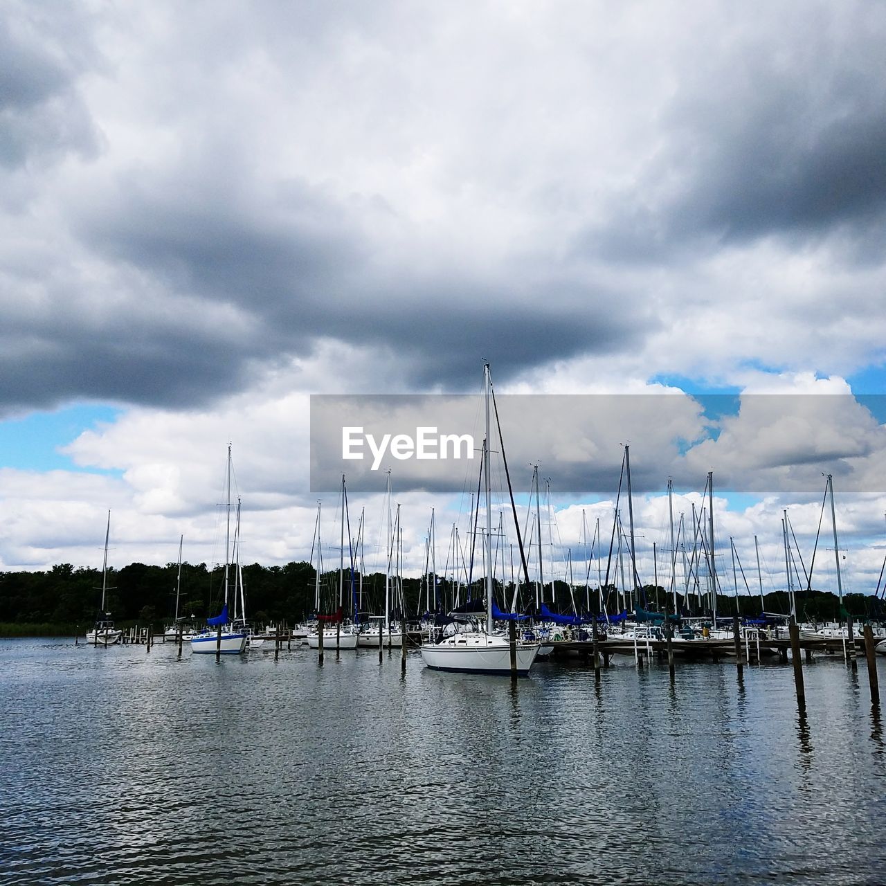 Sailboats moored at harbor against sky