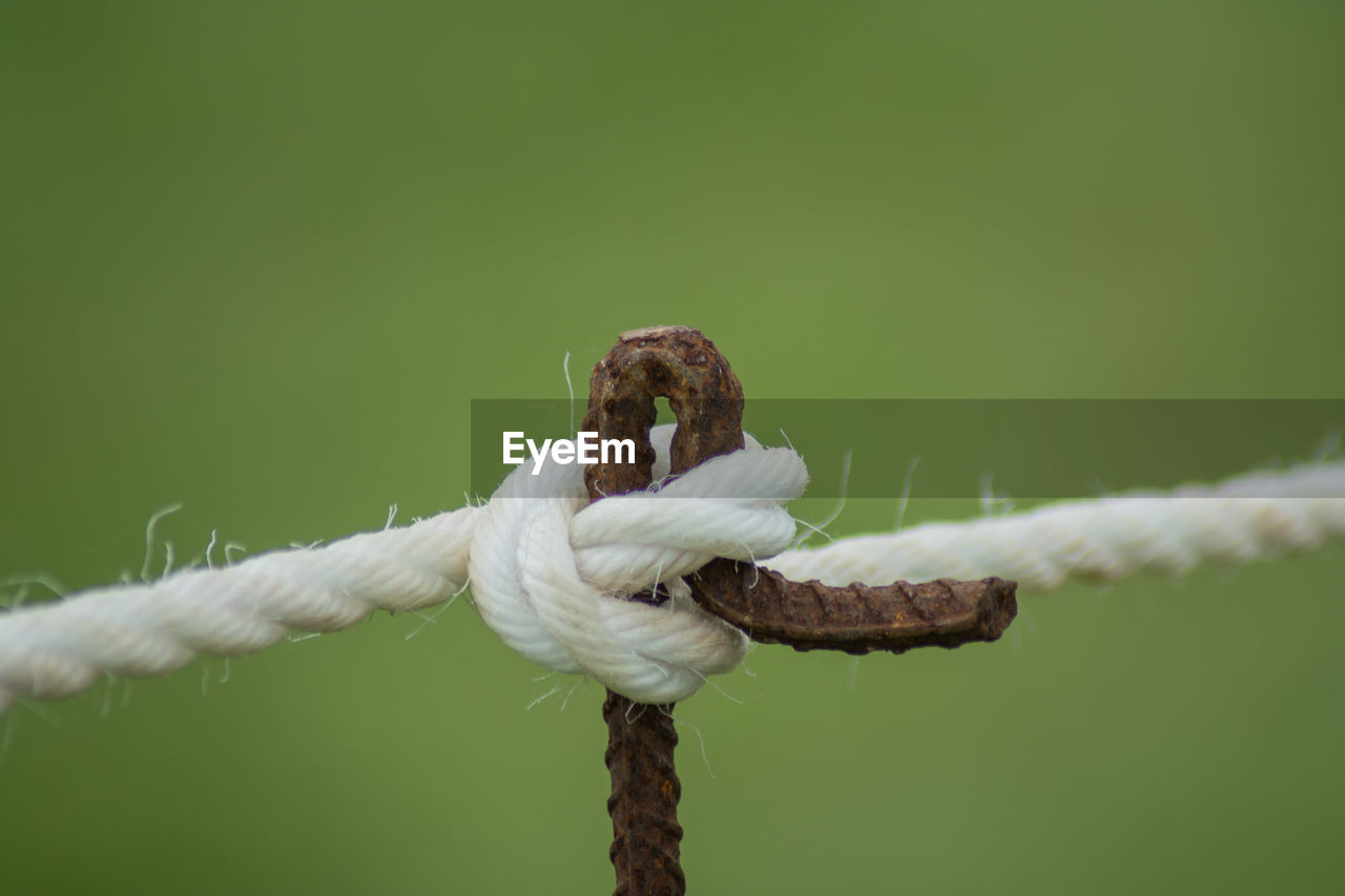 CLOSE-UP OF ROPE TIED UP ON ROPES