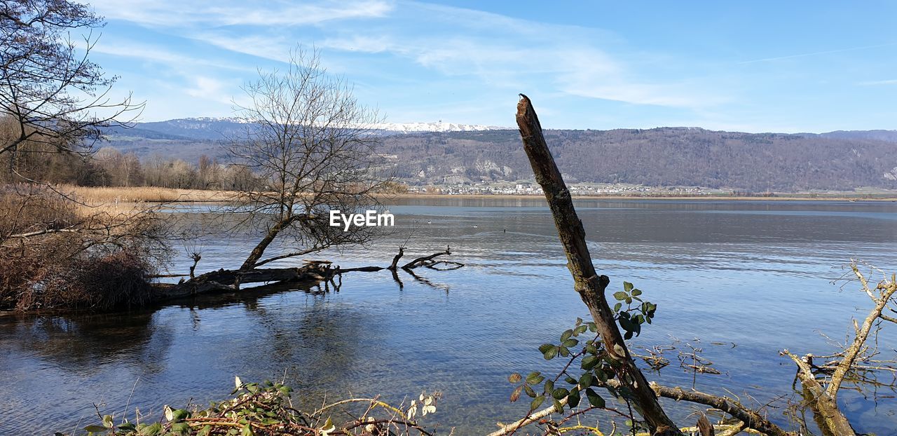 SCENIC VIEW OF LAKE BY TREES AGAINST SKY