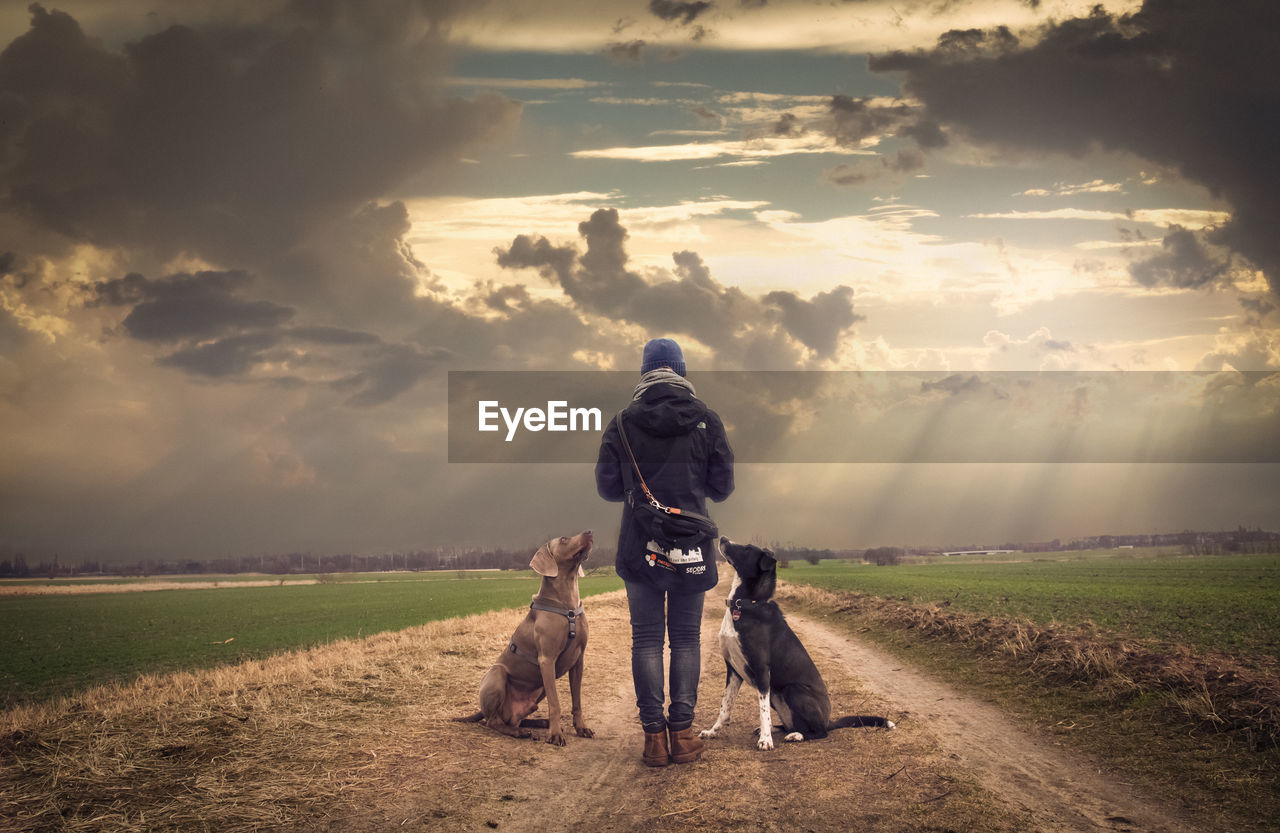 Rear view of man with dogs standing on country road against cloudy sky