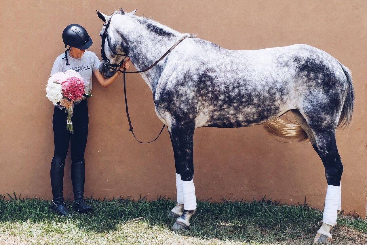 Full length of woman holding bouquet by horse against wall on field