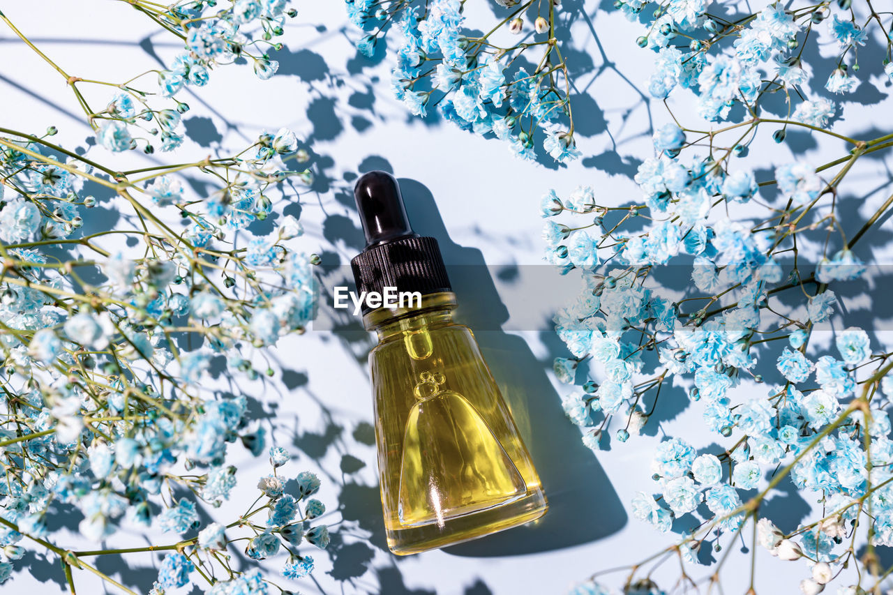 Beauty oil with natural ingredients on a blue background with flowers. skin care treatment concept.