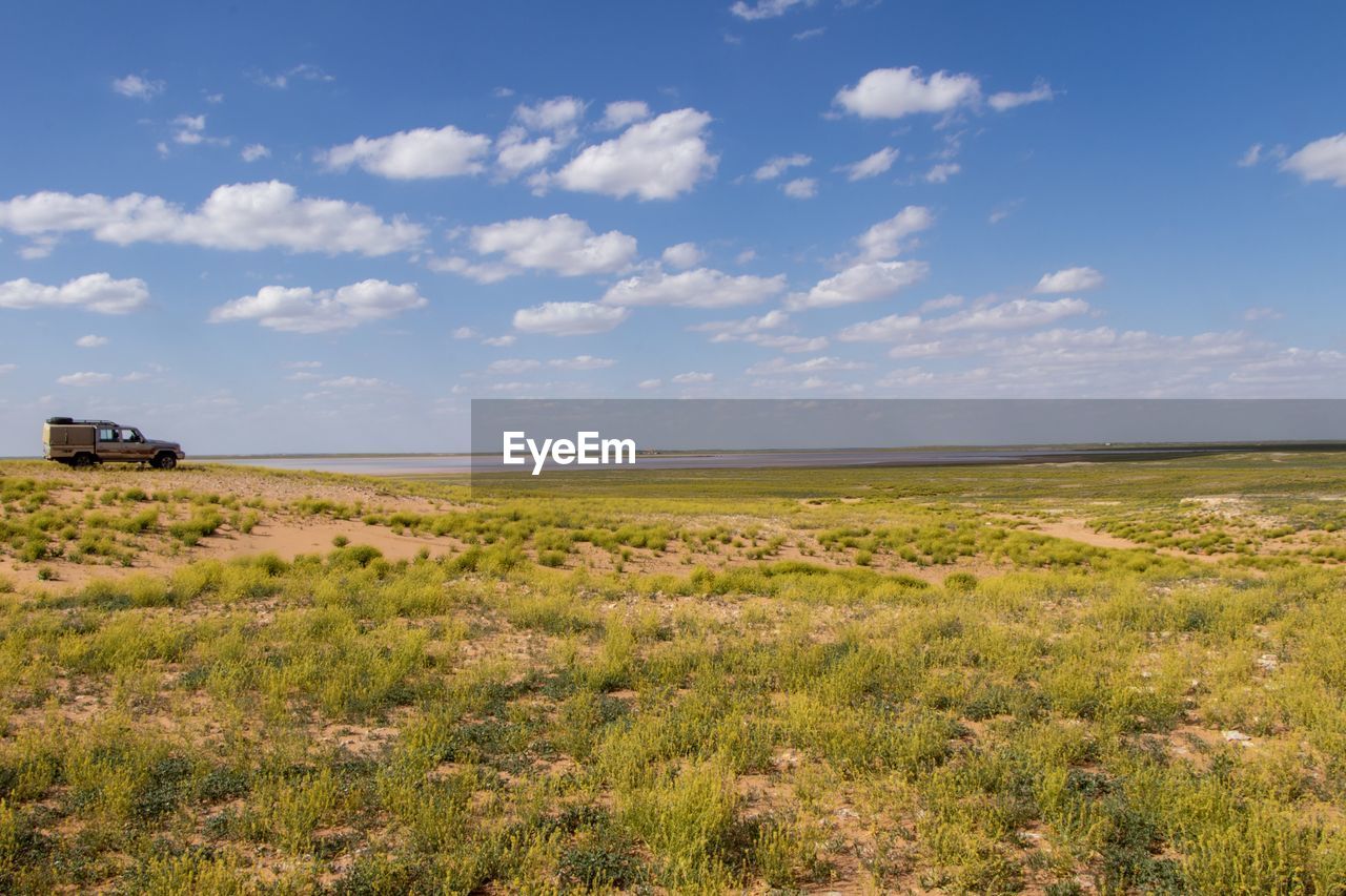 SCENIC VIEW OF GRASSY FIELD AGAINST SKY