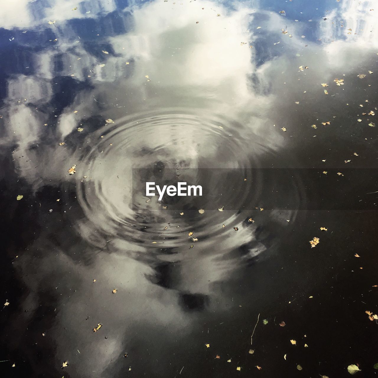 FULL FRAME SHOT OF WATER