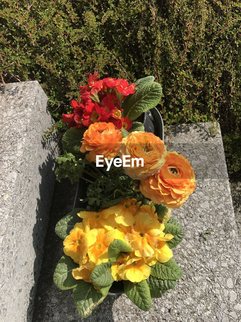 HIGH ANGLE VIEW OF FLOWERS AND LEAVES ON STONE