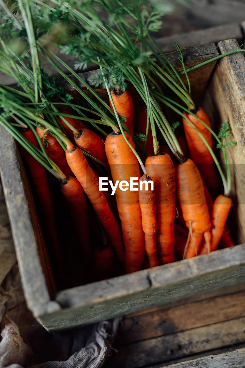 Close-up of vegetables