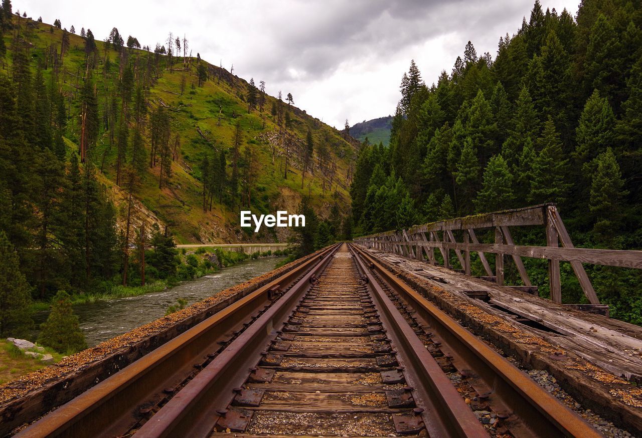 Railroad tracks amidst trees against sky