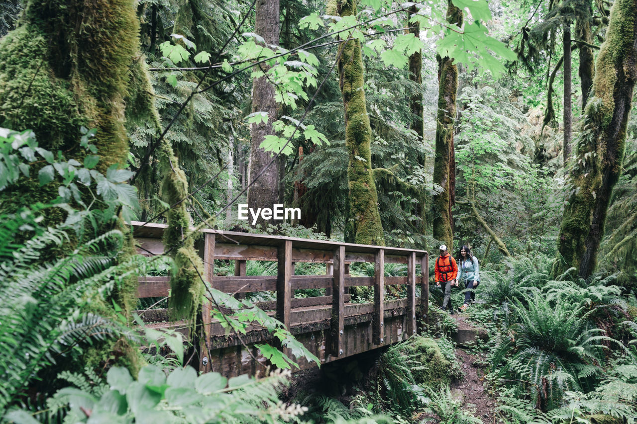 A young couple enjoys a hike on a trail in the pacific northwest.