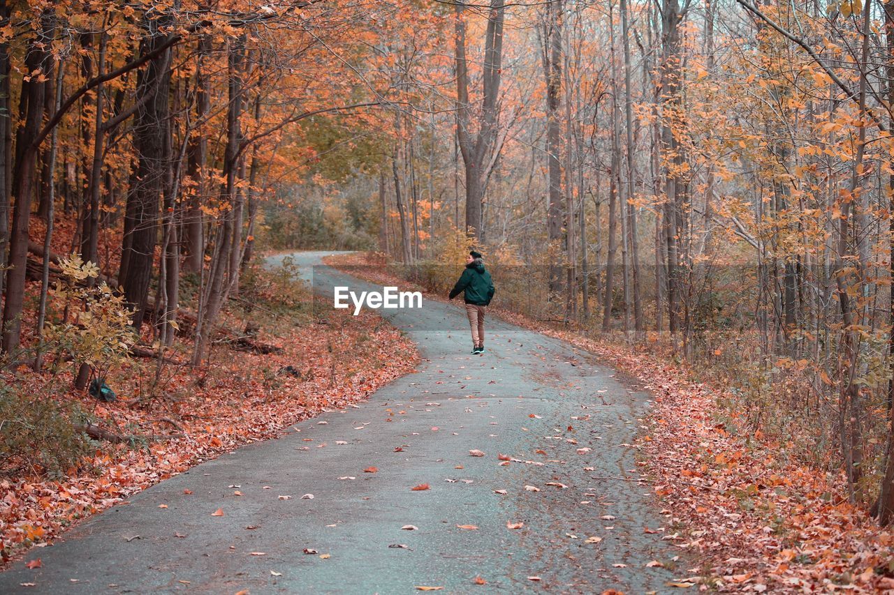Rear view of man walking on road in forest during autumn