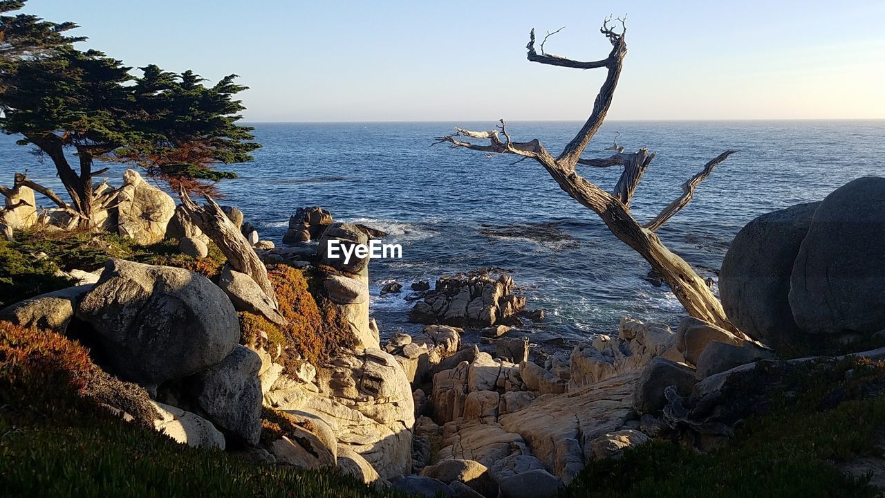 Scenic view of sea against clear sky