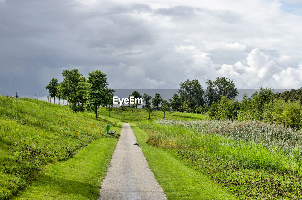 Footpath in park under a dramatic sky