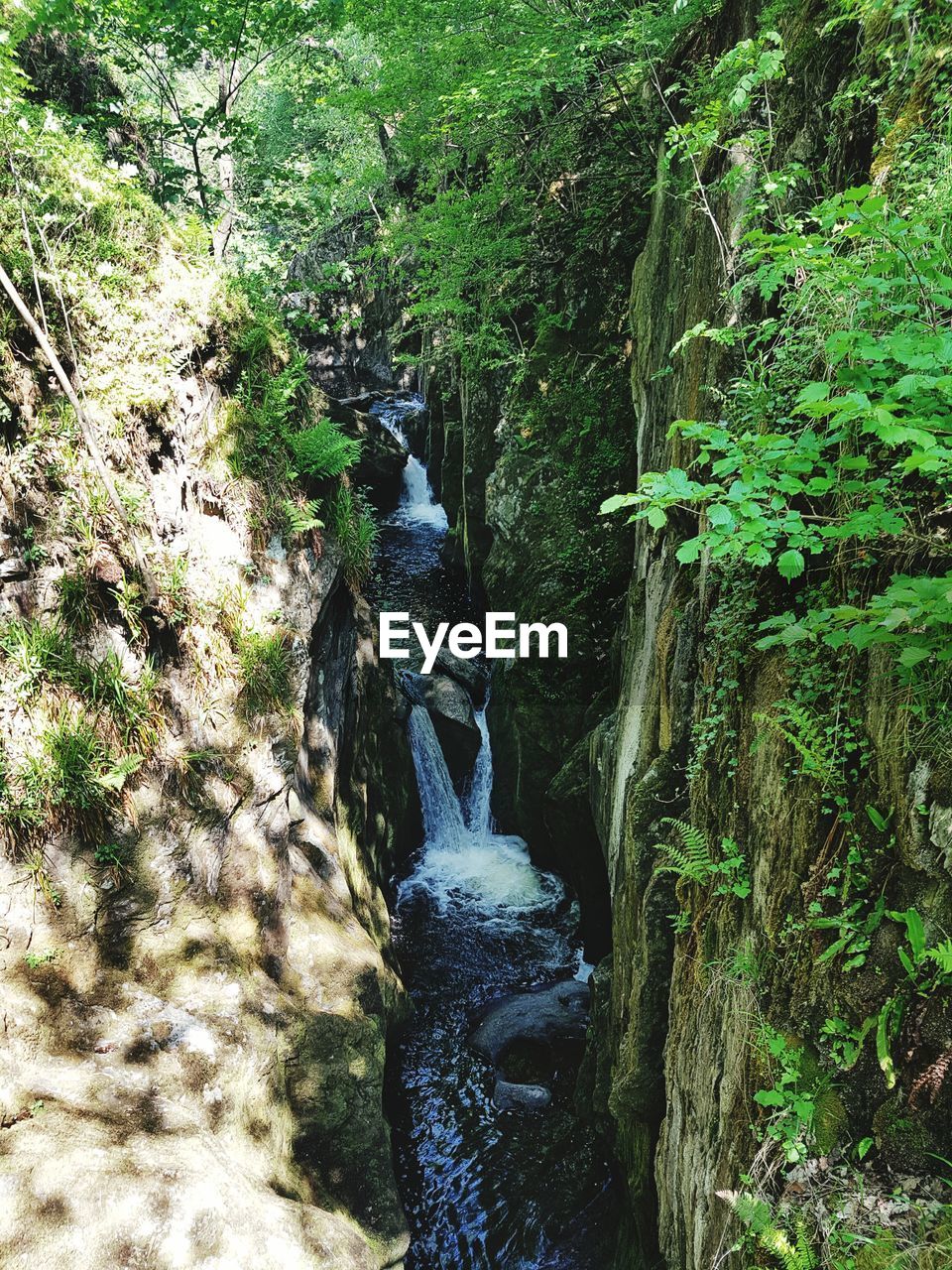 SCENIC VIEW OF WATERFALL IN FOREST