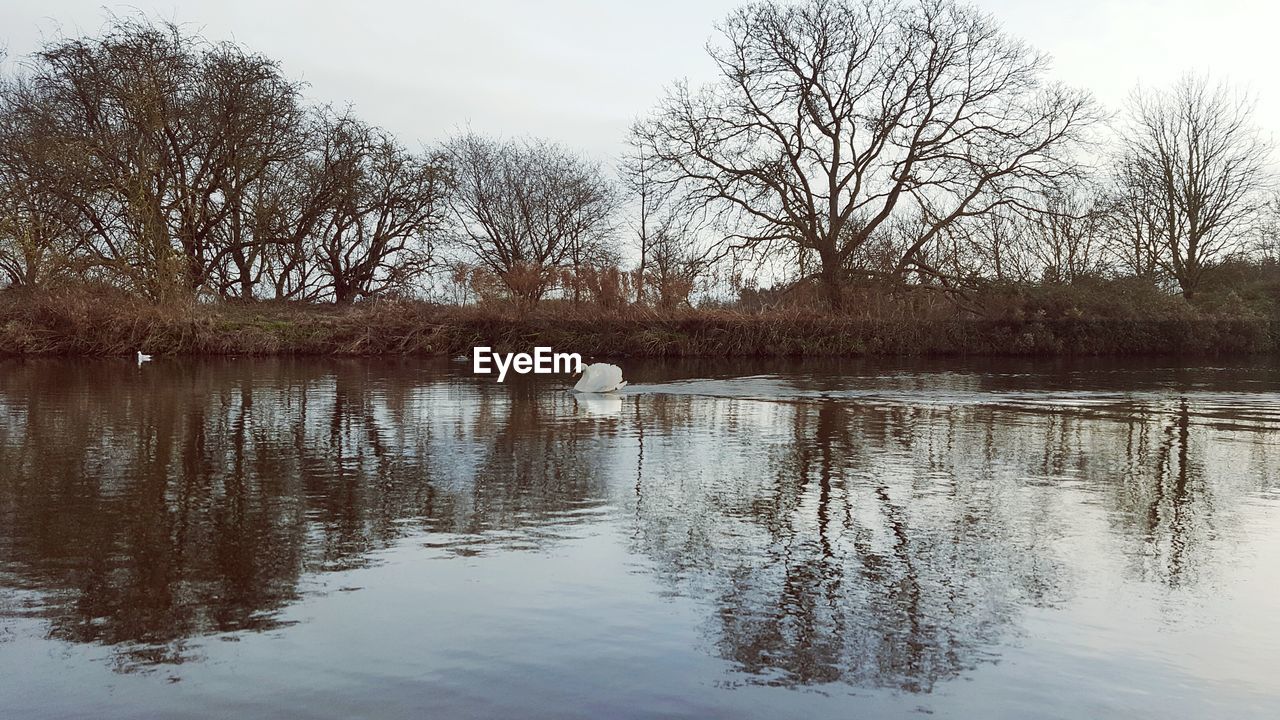 DUCKS SWIMMING ON LAKE AGAINST SKY