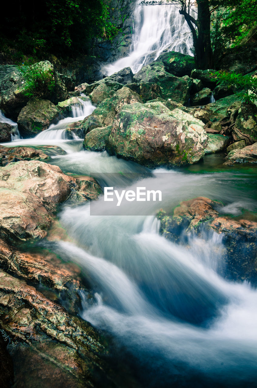 VIEW OF WATERFALL IN FOREST