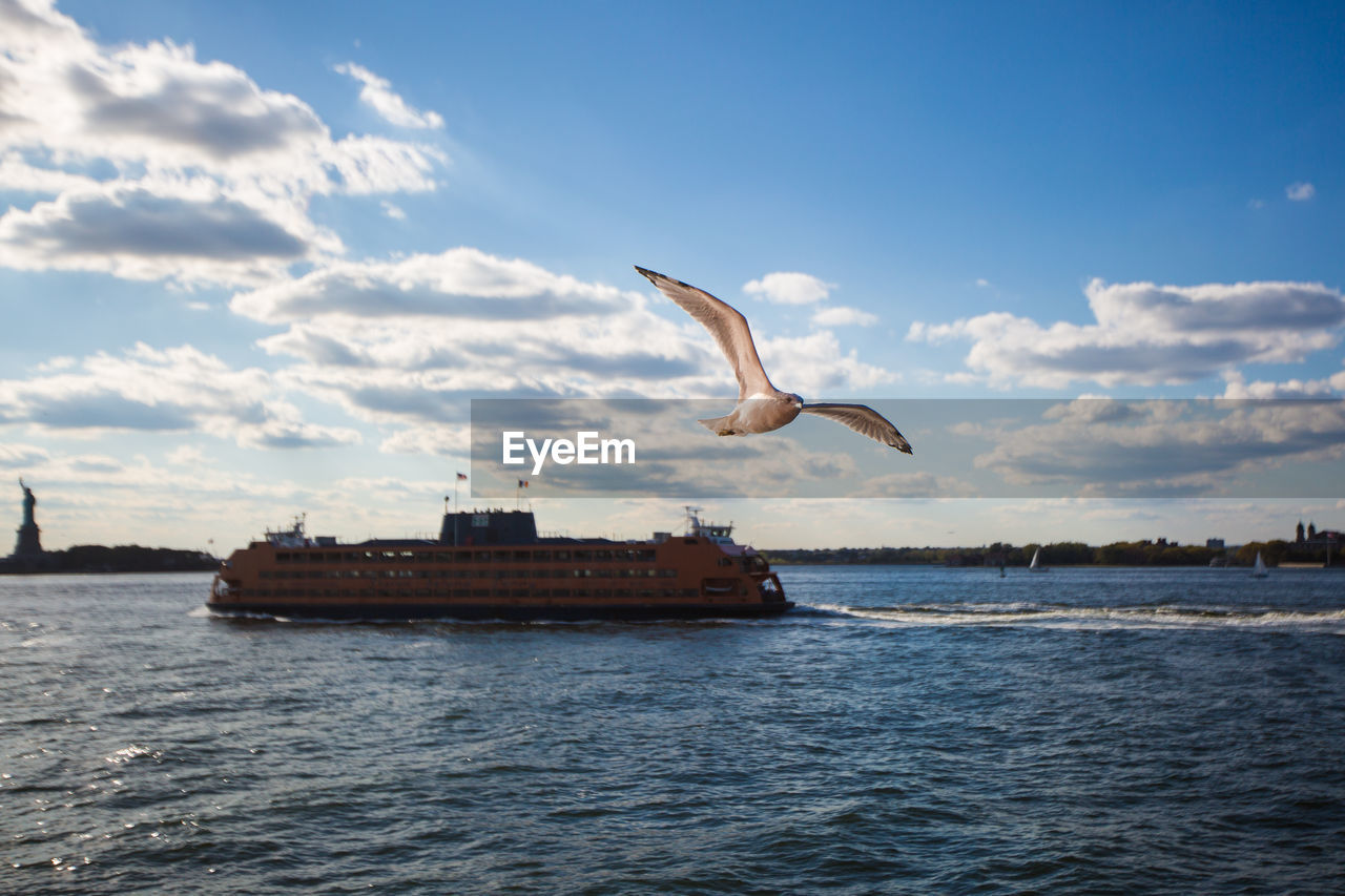 Seagull flying over sea against sky