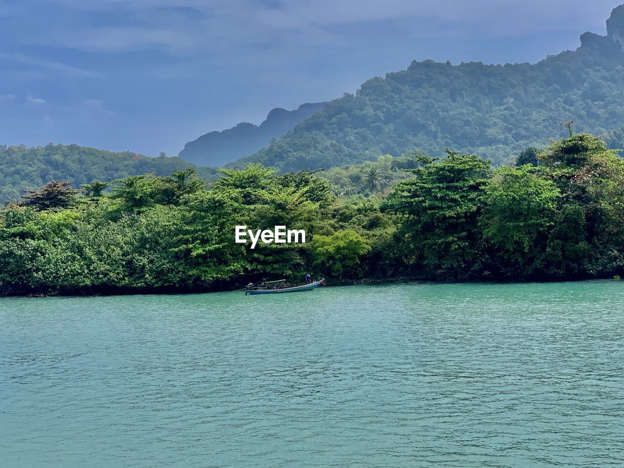 SCENIC VIEW OF RIVER AMIDST TREES AGAINST SKY