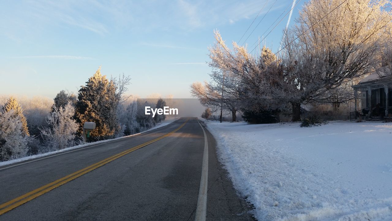 Road passing through bare trees