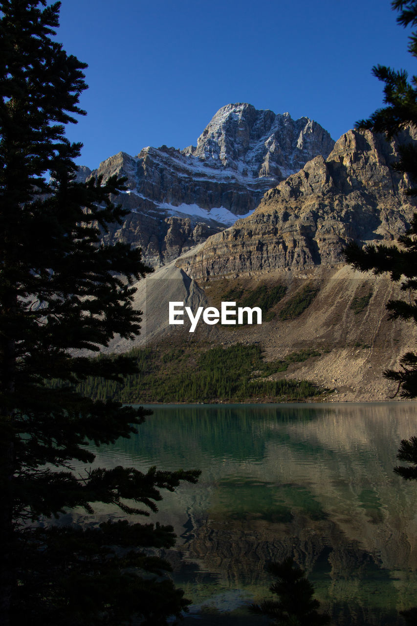 Crowfoot mountain in autumn with snow as seen from bow lake, canadian rockies.