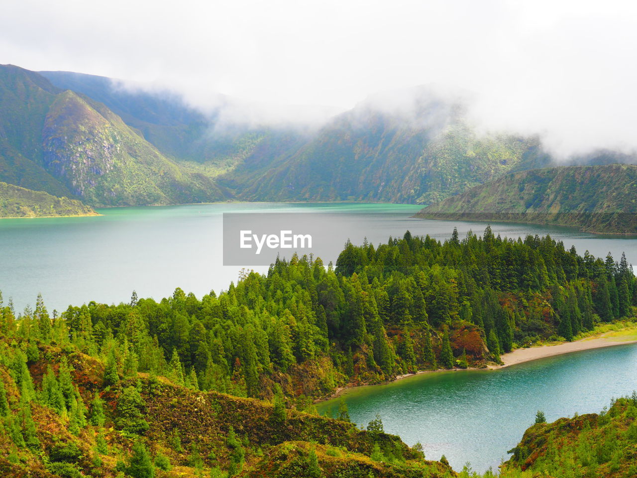 Scenic view of lake in forest against sky