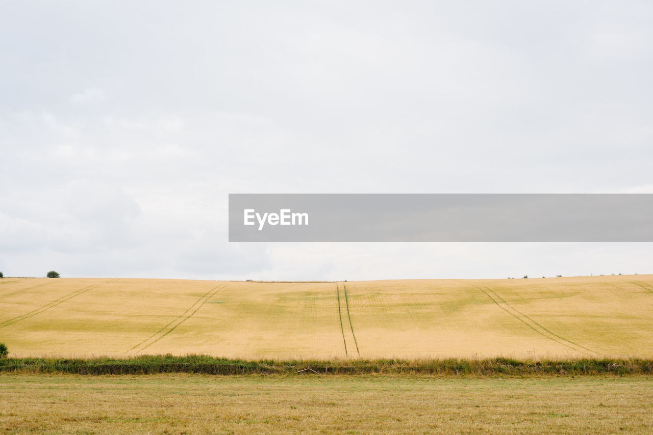 FIELD AGAINST SKY